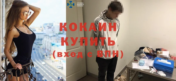 гашик Богданович