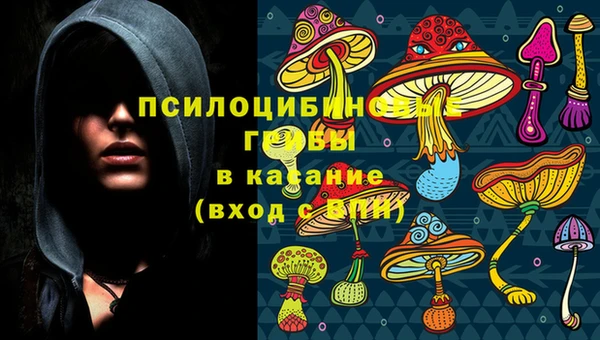 ПСИЛОЦИБИНОВЫЕ ГРИБЫ Богородицк