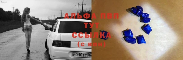 гашик Богданович
