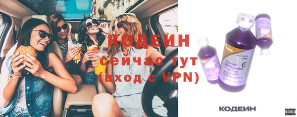 гашик Богданович