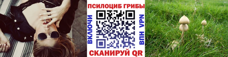 мориарти наркотические препараты  купить наркотик  Армавир  Галлюциногенные грибы прущие грибы 